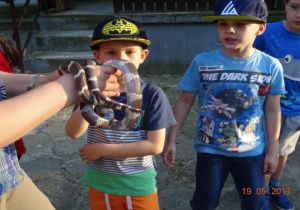 Dzieci oglądają węża.